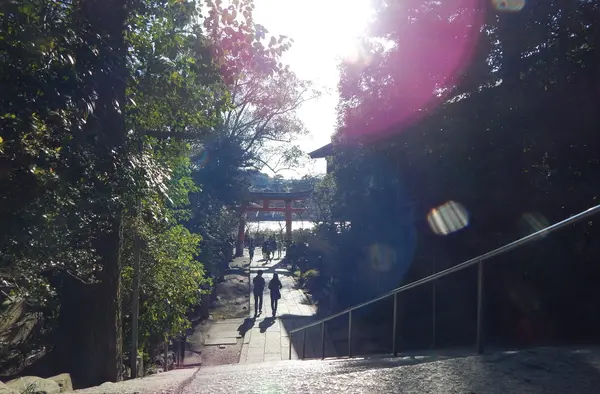 宇治川がキラキラ✨