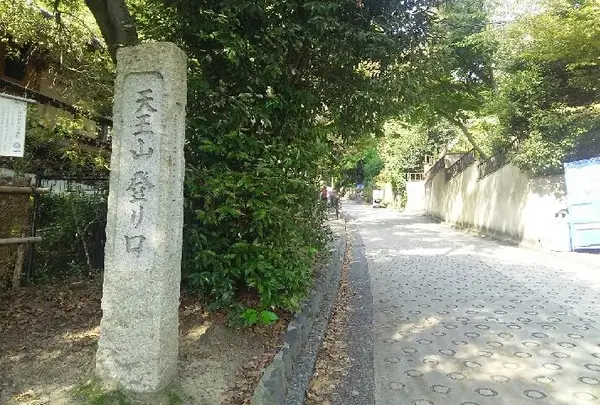 レリッシュの写真・動画_image_99998