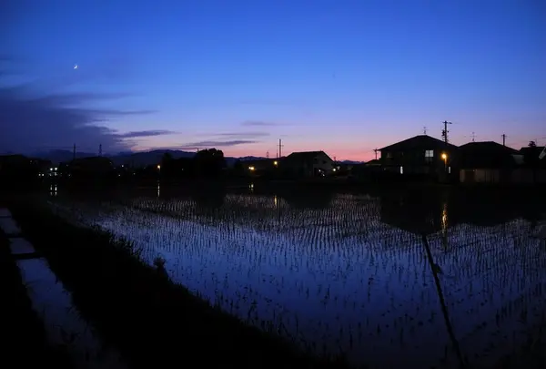 青い田園と伊吹山