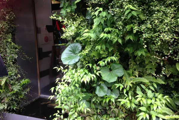 萌の写真・動画_image_135215