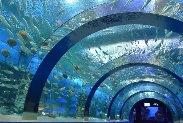 青森県営浅虫水族館