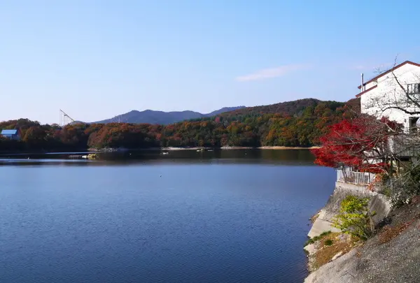 東条湖