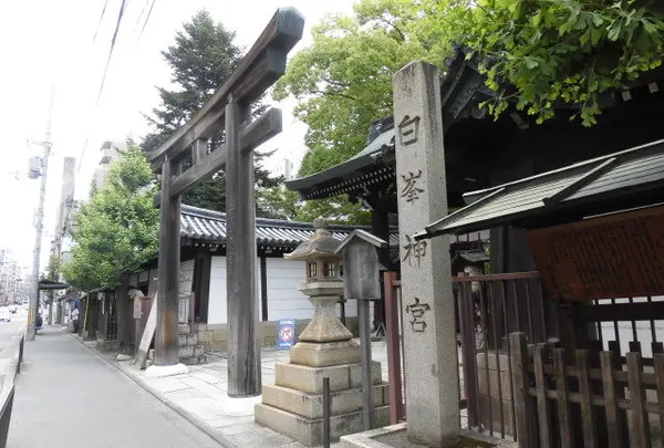 白峯神宮の写真・動画_image_253816