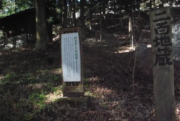 詳しい解説も。
