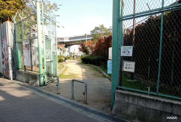 山王みどり公園