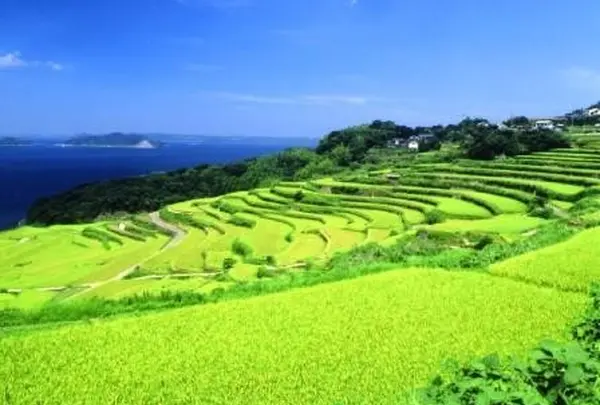 土谷棚田