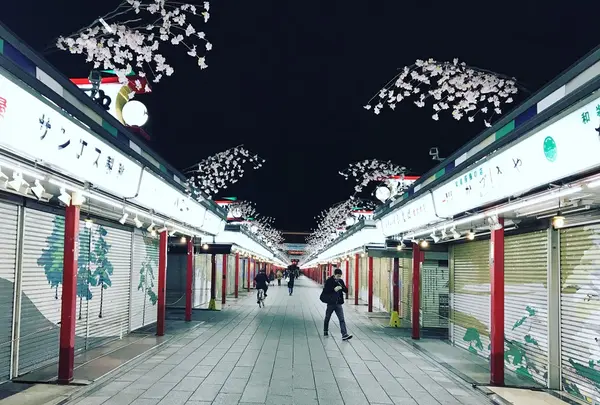 浅草寺の写真・動画_image_223839