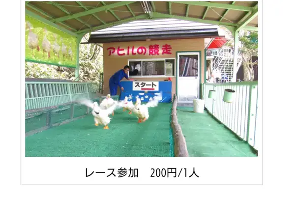 のぼりべつクマ牧場の写真・動画_image_143414