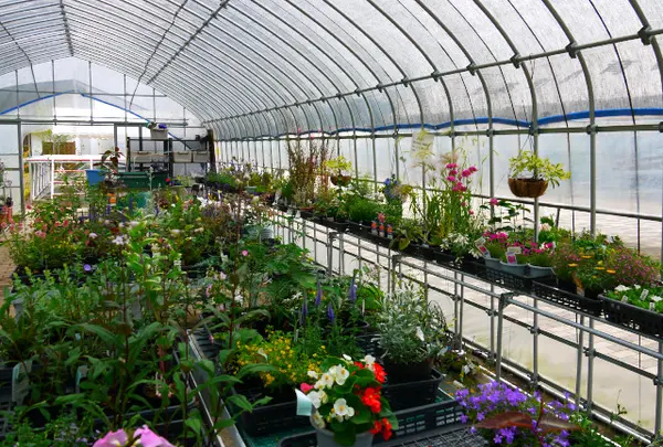 花苗販売や喫茶店