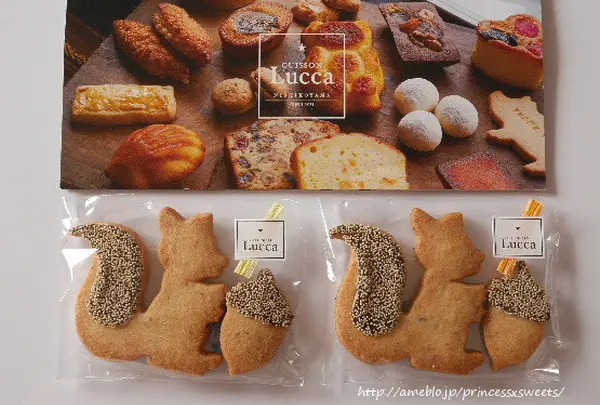 CUISSON LUCCA（キュイソン ルカ）