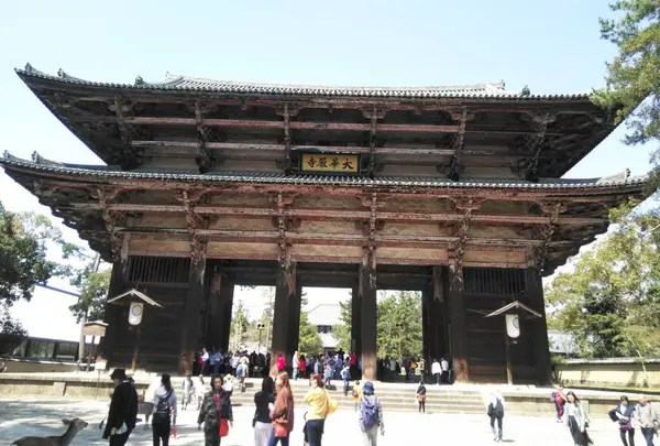 東大寺 南大門の写真・動画_image_564636