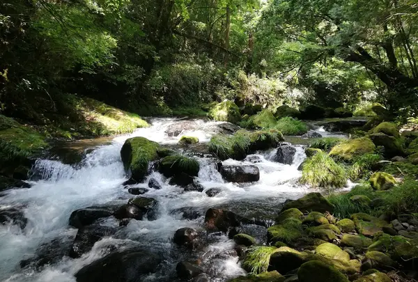 立岩水源