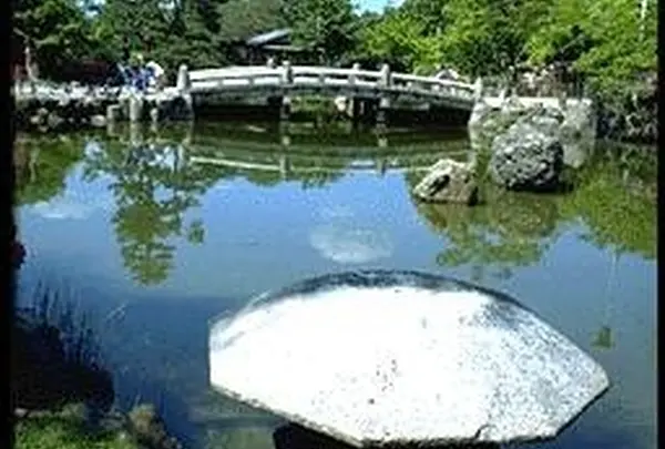 こんな池や、舞妓さんが来たり、一見さんお断りのお店も。
