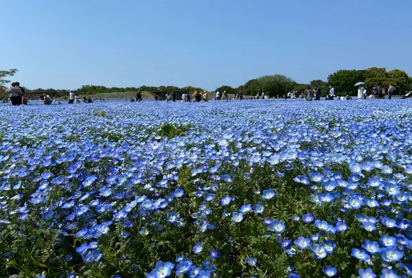海の中道海浜公園