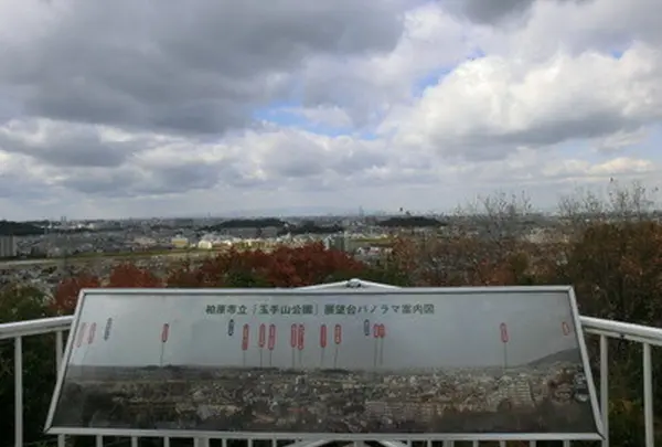 玉手山公園