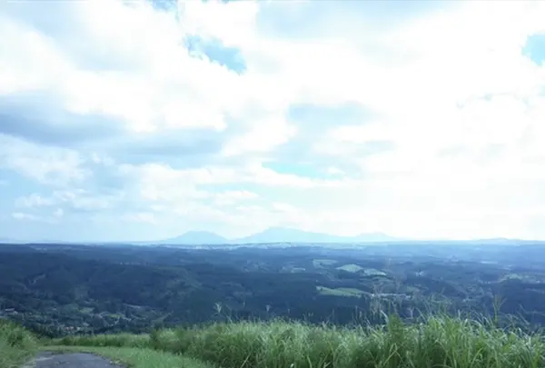 小萩山稲荷神社の写真・動画_image_190077