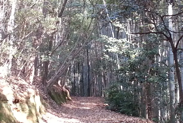 徒然草にも書かれちゃうほどの山道！
