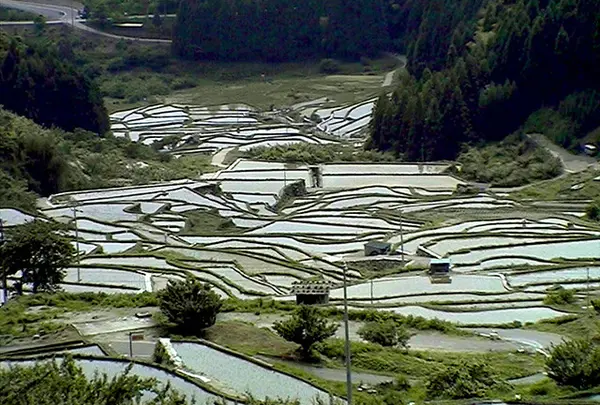 四谷千枚田