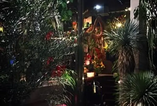 ＨＡＮＡＣＨＯ