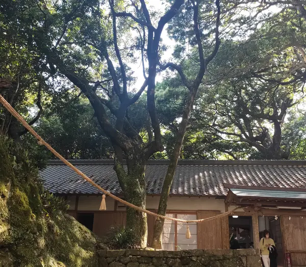 何もないのが良いんです