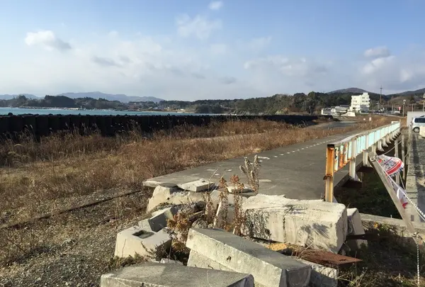 大谷海岸の道の駅の裏