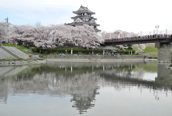 桜シーズンの撮影スポット