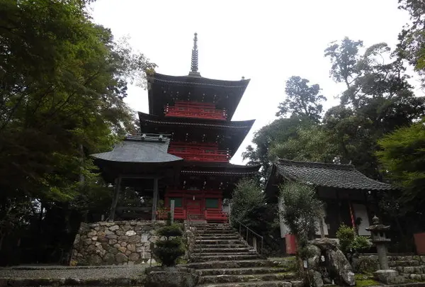 柏原八幡宮の写真・動画_image_96805