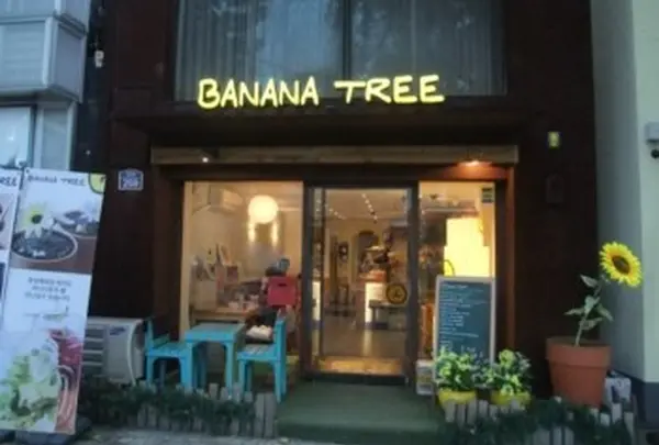 banana tree