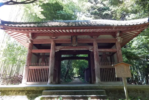 花の寺②「小塩山 大原院勝持寺（しょうじじ）」