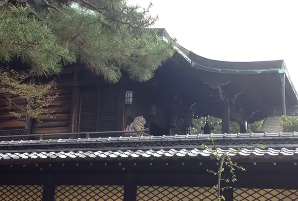 本殿の上に？