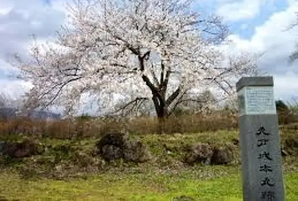 九戸城跡の写真・動画_image_28215