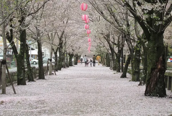 菊池神社参道