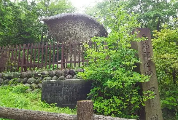 傘岩の写真・動画_image_248542