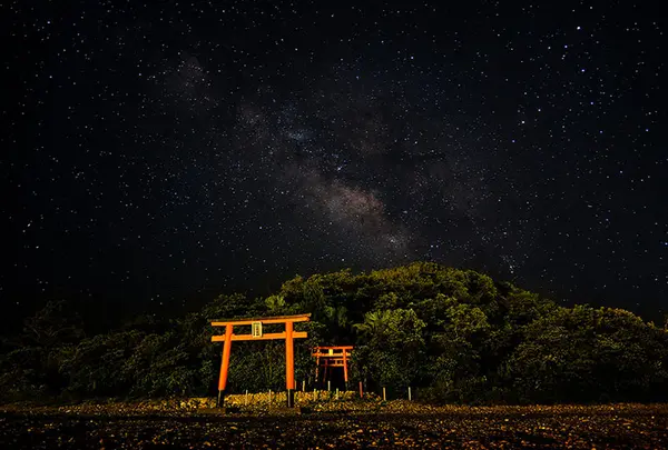 久嶋（孔島）鈴島植物群落