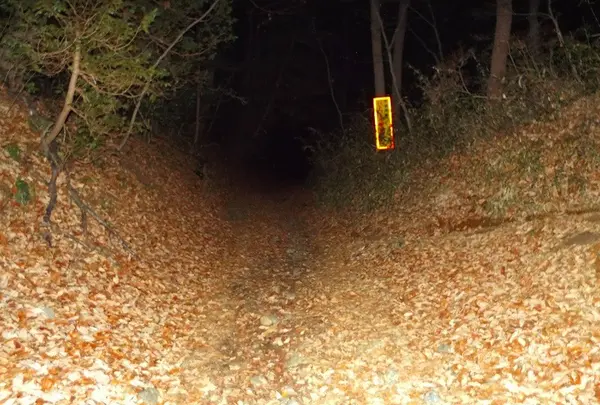 道了堂跡の写真・動画_image_22869
