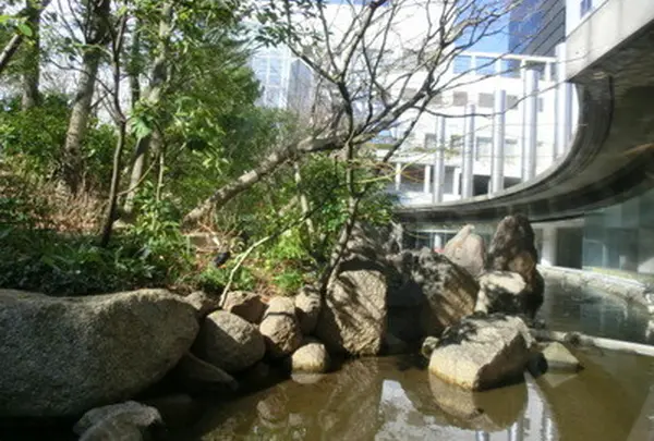 レトロ食堂街 滝見小路の写真・動画_image_23573