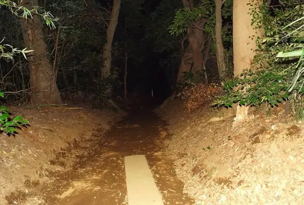 参道