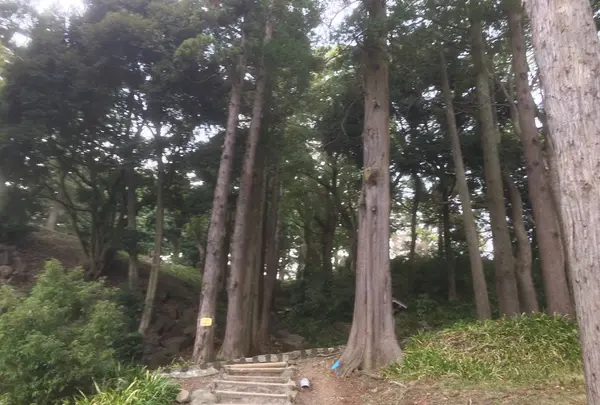 入口