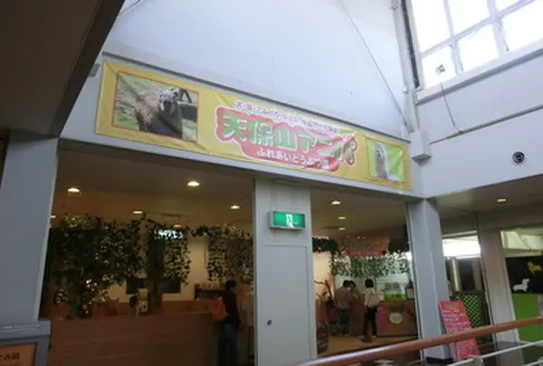 天保山アニパ