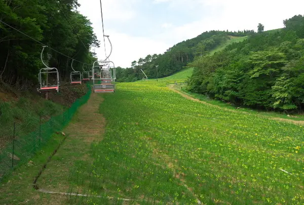 スキー場のリフトも使えます
