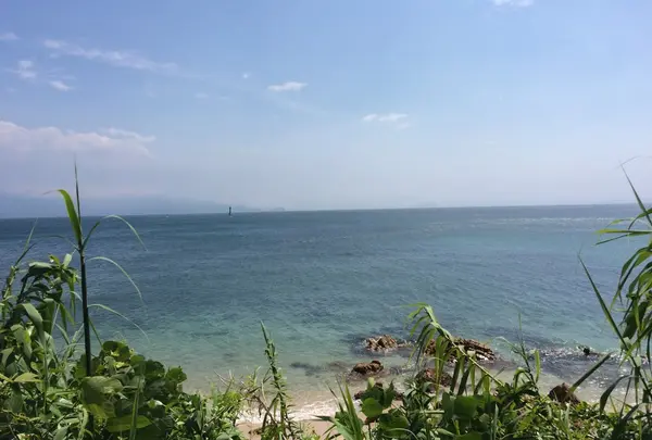 工房とったんの写真・動画_image_39680