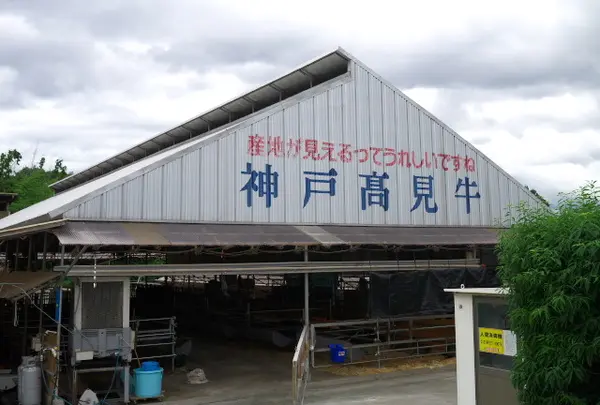 牧場が目の前