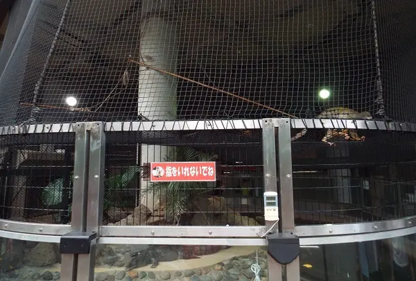 ワニ池