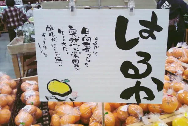 SAISAICAFEの写真・動画_image_48857