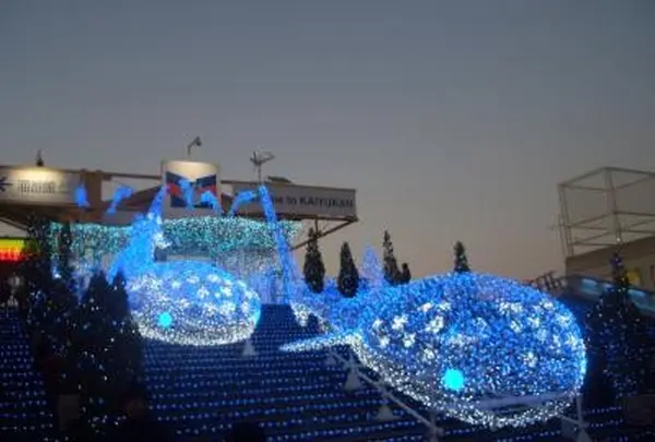 夜景の中に絶景