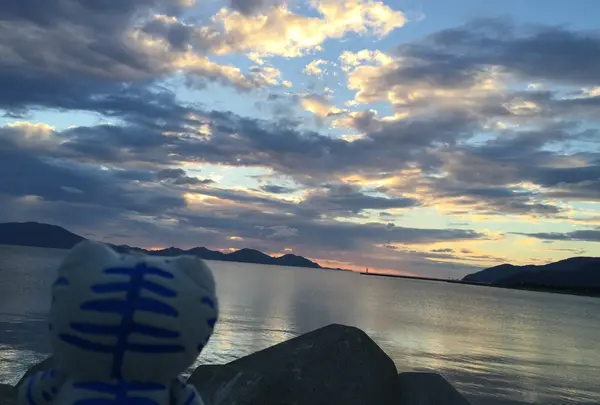 人魚の浜駐車場からの夕日２
