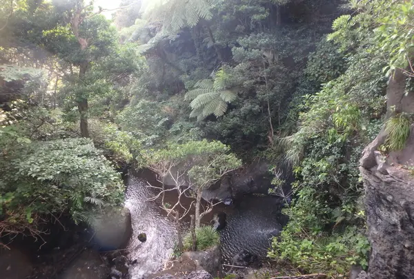 自然の中に溶け込む気分