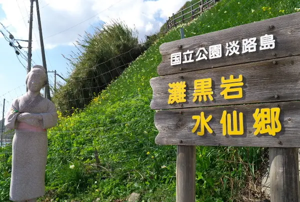 灘黒岩水仙郷