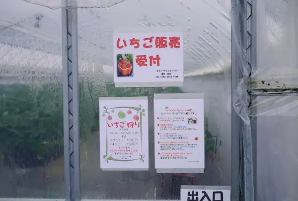 45分間食べ放題