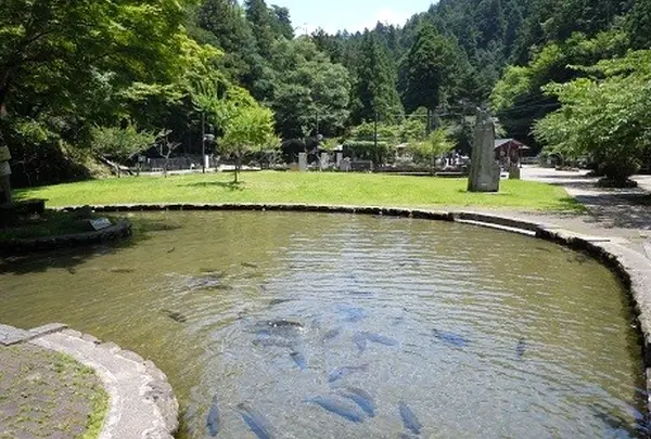 滋賀県「醒井養鱒場」